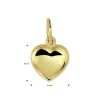 gouden hart hanger 8.5 mm maat