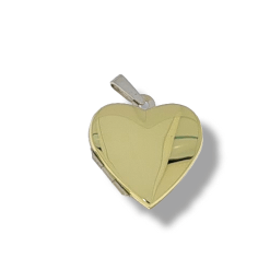 Gouden Medaillon Hart Bicolor Hanger Zirkonia 25 x 19 mm 14 karaats