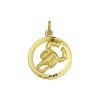 Gouden sterrenbeeld hanger schorpioen 16 mm - G54005650A