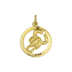 Gouden sterrenbeeld hanger schorpioen 16 mm - G54005650A