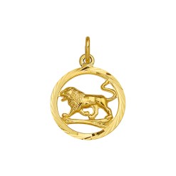 Gouden sterrenbeeld hanger leeuw - G54005681A