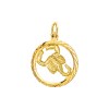 Gouden sterrenbeeld hanger schorpioen 18 mm - G54005684A