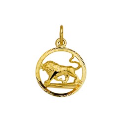 Gouden sterrenbeeld hanger leeuw - G54005623A