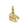 Gouden sterrenbeeld hanger schorpioen - G54006440A