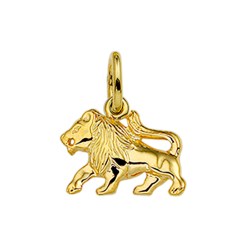 Gouden sterrenbeeld hanger leeuw - G54006469A