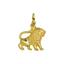 Gouden sterrenbeeld hanger leeuw - G54006500A