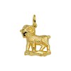 Gouden sterrenbeeld hanger steenbok - G54018396A