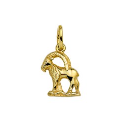 Gouden sterrenbeeld hanger steenbok - G54006482A