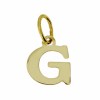 Goud Hanger Letter G 14 karaats