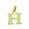 Goud Hanger Letter H 14 karaats
