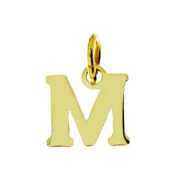 Goud Hanger Letter M 14 karaats