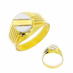 Gouden Herenring Zegelring BiColor 14 karaats