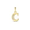 Goud Hanger Letter C Zirkonia 14 karaats