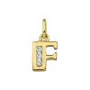 Goud Hanger Letter F Zirkonia 14 karaats