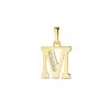 Goud Hanger Letter M Zirkonia 14 karaats