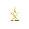 Goud Hanger Letter X Zirkonia 14 karaats 2 Goud Hanger Letter X Zirkonia 14 karaats