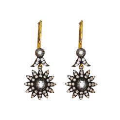 Gouden Rose Klap Oorringen Fantasie 33 mm 14 mm Zirkonia 14 karaats