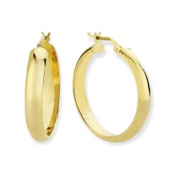 Gouden Oorringen Glans Ronde Buis 20 mm 4 mm 18 karaats