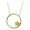 Gouden Ketting Cirkel Ster Hanger Zirkonia 14 karaats