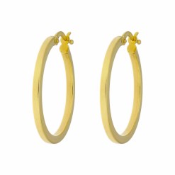 Gouden-Oorringen-Glans-Vierkant-Buis-40-mm-2.5-mm-14-karaats